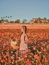 The 1932 and 1984 summer games were held in los angeles. Carlsbad S Petal To Plate Picnic In The Flowers Field Inara By May Pham