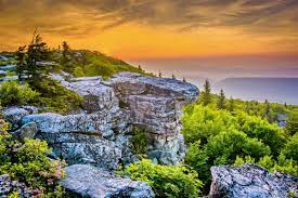 Maybe you would like to learn more about one of these? Monongahela National Forest