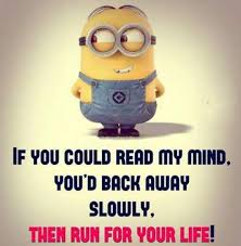 Check spelling or type a new query. 40 Crazy Funny Friendship Quotes For Best Friends Dreams Quote