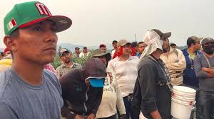 Public records reveal extent of Sarbanand Farms' significant violations of  Agricultural Employment Standards