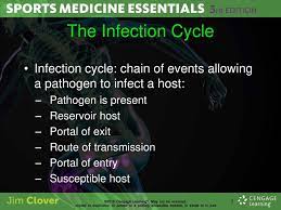 Infection Control And Bloodborne Pathogens Ppt Download