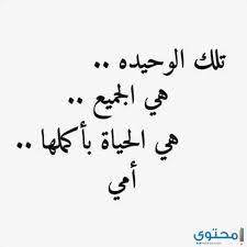 فمنهم من نفعته تجربته في المضي قدما. Ø´Ø¹Ø± Ø¹Ù† Ø§Ù„Ø§Ù… Ø§Ù„Ø­Ù†ÙˆÙ†Ø© 2021 Ù‚ØµÙŠØ¯Ø© Ø¹Ù† Ø§Ù„Ø£Ù… Ù…Ø¤Ø«Ø±Ø© Ù…ÙˆÙ‚Ø¹ Ù…Ø­ØªÙˆÙ‰