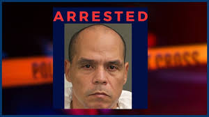 Just like 'Jurassic Park,' amber preserves prehistoric wings