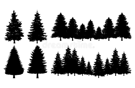Maybe you would like to learn more about one of these? Pine Tree Silhouette Collections Set Stock Vector Illustration Of Tree Nature 139500460