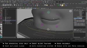 Maya Python Auto Eyelids Rig Maya Rigs Maya Modeling
