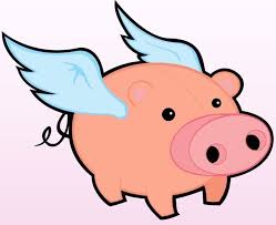 When Pigs Fly Meme Pig Pictures Flying Pig Picture Flying Pig