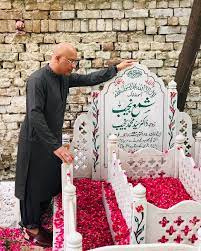pin pa dr najeeb lectures