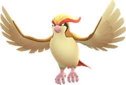 pokemon lets go pidgeot moves evolutions locations and