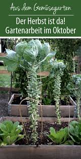 Der Herbst Ist Da Gartenarbeit Garten Pflanzen Garten Anpflanzen