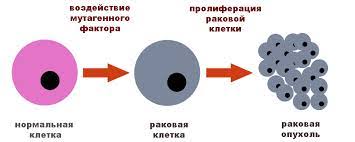 Противораковая терапия: новые горизонты с использованием вирусов наших предков