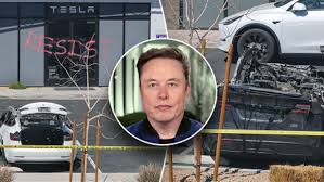 Elon Musk says he's shocked by the level of hate and vandalism happening  towards Tesla - Telegraph - Telegraph