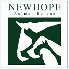 Pet rescue saga level 904 no boosters no hammers. New Hope Animal Rescue Videos Facebook