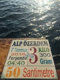 Wooddem Adli Kullanicinin Wooddem Calismalar Panosundaki Pin Calisma