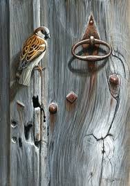 1163 Weathered Door House Sparrow Bird Art Sparrow Art Wildlife Artists