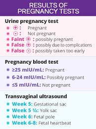 A pregnancy blood test is a medical test that confirms the presence of human chorionic gonadotropin or hcg, the hormone produced by the fetus, in your system. Pregnancy Tests And Results Shecares