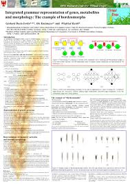 Download Integrated Grammar Representation Of Genes Metabolites And Morphology The Example Of Hordeomorphs Gerhard Buck Sorlin Ole Kniemeyer And Winfried Ppt Download