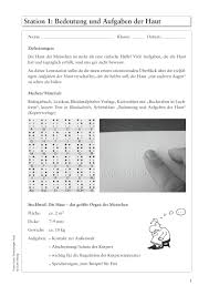 Sekundarstufe Unterrichtsmaterial Biologie Korper Und Gesundheit