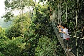 Find stockbilleder af jerantut pahang malaysia september 28 2019 i hd og millionvis af andre royaltyfri stockbilleder, illustrationer og vektorer i shutterstocks samling. 6 Best Nature Attraction In Jerantut Pahang Visit Malaysia