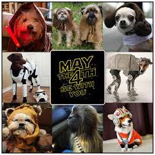 May The Fourth Be With You Doggos May The Fourth Be With You Food Animals Happy Star Wars Day