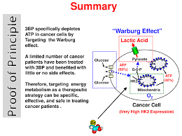 Molecules Free Full Text The Hk2 Dependent Warburg Effect And Mitochondrial Oxidative Phosphorylation In Cancer Targets For Effective Therapy With 3 Bromopyruvate Html