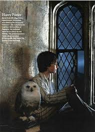 Harry Potter In The Sorcerer S Stone Film Tom Felton