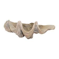 Check out our clam shell decor selection for the very best in unique or custom, handmade pieces from our shops. Decorative Clam Shell Oneworld Collection