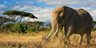 Kenia shtrihet rreth koordinatave gjeografike 1 00 '''v''', 38 00 '''l'''. Beste Reisezeit Fur Kenia Urlaubswetter Regenzeit Und Trockenzeit