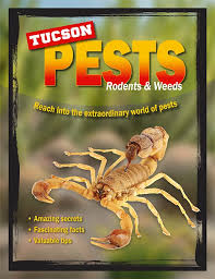 You can feel confident knowing our we provide the consumer with effective pest control products and educate him or her on how to use them safely and properly. Pest Control Tucson Az Conquistador Pest Termite Call 520 624 5901