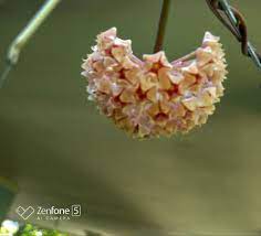 Pin Oleh Yoen Di Hoya