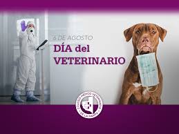 ¡felicitaciones, médicos veterinarios, por esforzarse cada día el 4 de octubre es una fecha que coincide con las celebraciones del día del médico veterinario en. Feliz Dia Colegas Colegio Medico Veterinario De La Pampa