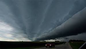 Use them in commercial designs under lifetime, perpetual. Tornado Warning Signs