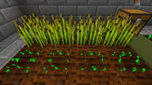 In our example, we have simply dug a hole 5 blocks long and filled it with water. How To Build An Underground Farm In Minecraft Levelskip