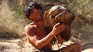 We did not find results for: Video Beginilah Menangkap Burung Elang Dengan Tangan Kosong Tribun Kaltim