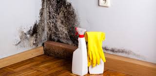 Questo è un classico esempio di muffa localizzata. Muffa In Casa Dove Si Forma E Come Intervenire Bisaten