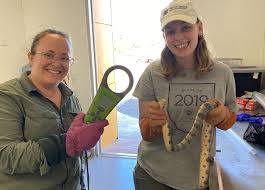 PROJECT 3.12 Sea snake monitoring: improved collection of fisher bycatch  data