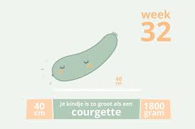 Pin Op Zwangerschapskalender