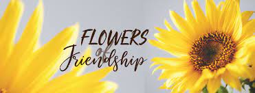Convenient also the tax time, allows you to send flowers. What Flower Stands For Friendship Gift Flowers Hong Kong
