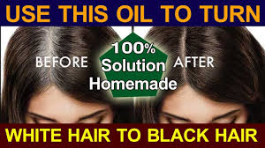 These oil hair products help the hair to regain the natural black color and make the hair to strengthen, growing strong and soft. White Hair Solution Oil Turn White Hair To Black Hair Gold Star Entertainment Youtube