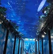 Customization LED Display P2.5 LED Wall LED Ceiling Display for Commerical  Advertising - China LED Screen, LED Display Panel | Made-in-China.com