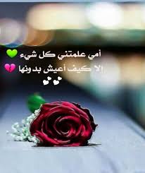 امي علمتني كل شيء Love U Mom Arabic Love Quotes Sweet Words