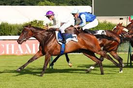 Creer Vos Propres Pronostics Gagnants Avec Le Logiciel De Turf Quartie Premium Pmu Pronostiqueur