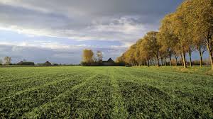 How much does it cost to develop land. Land Definition