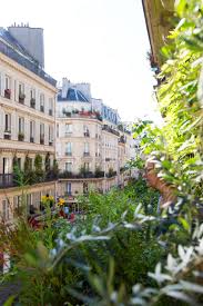 Best hanging plants for your home and balcony / hanging plants outdoors ideas. How To Garden Like A Frenchwoman 10 Ideas To Steal From A Paris Balcony Gardenista