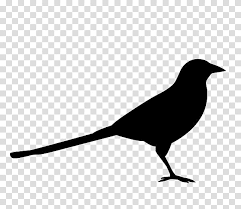 Bird Logo American Crow Eurasian Magpie Silhouette Competition Beak Blackbird Perching Bird Transparent Background Png Clipart Hiclipart Vector illustration of nature on a blue background. bird logo american crow eurasian