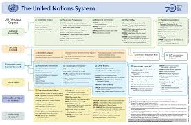 Visible Business United Nations System Organization Chart