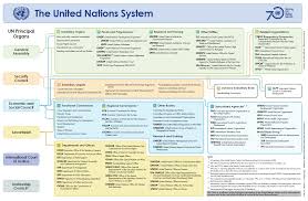 visible business united nations system organization chart