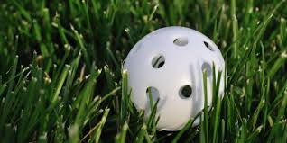 Check spelling or type a new query. How To Make A Wiffle Ball Field In Your Backyard 2021 Organize With Sandy