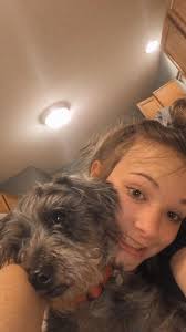 Looking for affordable female mini schnauzer in Shelbyville, IN