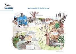 Er muss regelmäßig gewässert, gedüngt und gemäht werden, sonst sieht er schnell ungepflegt, braun und fleckig aus. Nabu Baumschnitt Laub Und Fallobst Im Garten Lassen Gartenabfalle Bieten Igeln Presseportal