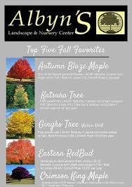 Simple Sweet Tree Trends For This Autumn Pumpkin Season And Fall Fantastic Showcase Find Out What T Maple Tree Landscape Trees To Plant Autumn Blaze Maple